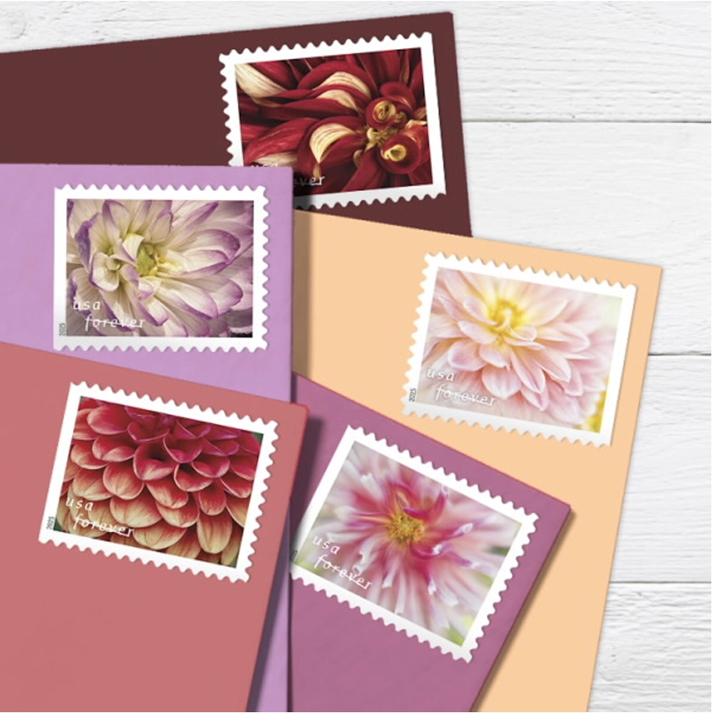 2025 First-Class Dahlias Forever Stamps 