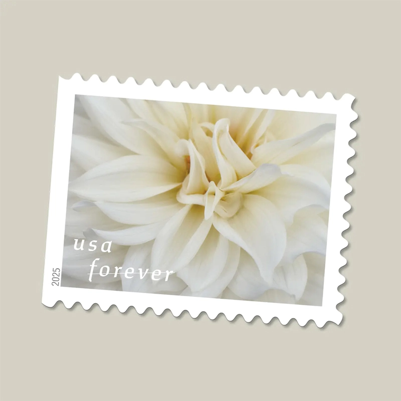 2025 First-Class Dahlias Forever Stamps 