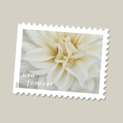 2025 First-Class Dahlias Forever Stamps 