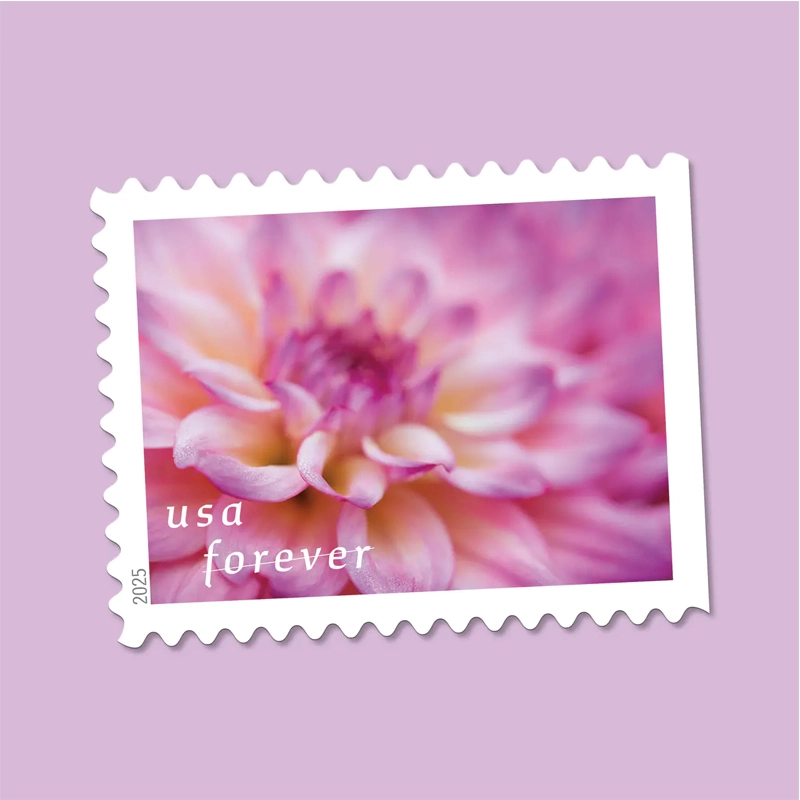 2025 First-Class Dahlias Forever Stamps 