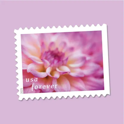 2025 First-Class Dahlias Forever Stamps 