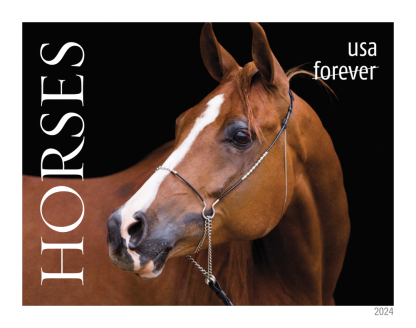 Horses Forever stamps