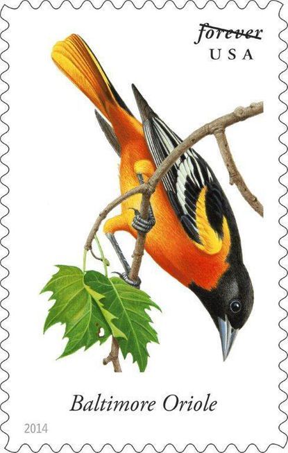 Songbirds Forever Stamps 2014