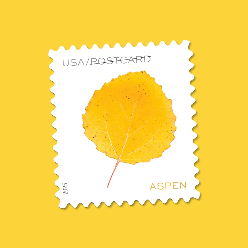 2025 Vibrant Leaves Postcard Stamps