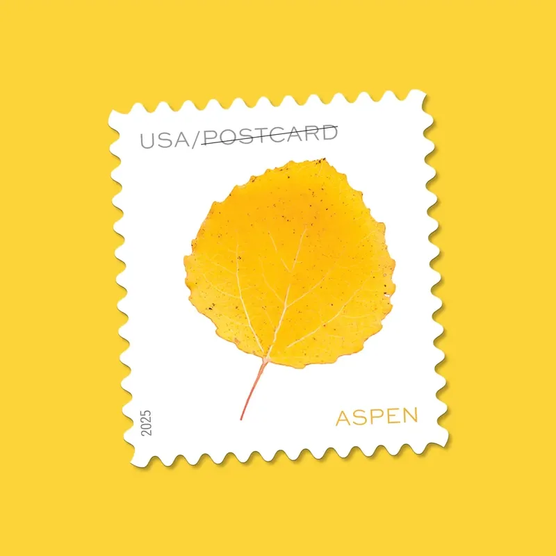 2025 Vibrant Leaves Postcard Stamps