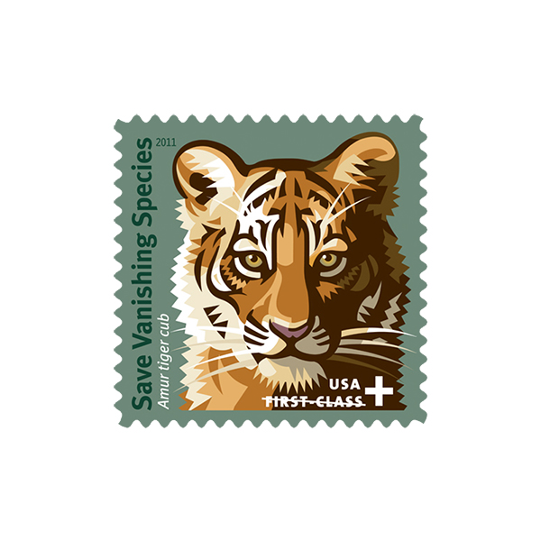 Save Vanishing Species Amur Tiger 2011