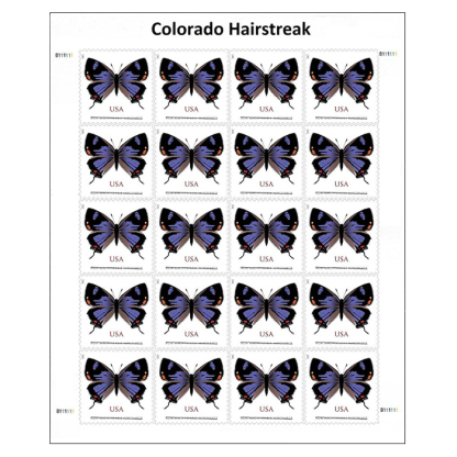 Colorado Hairstreak Stamps($1.03 Non-Machineable for Square Envelopes)