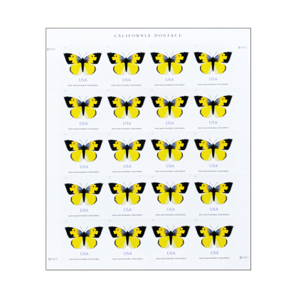 California Dogface Butterfly Stamp ($1.03 Non-Machineable for Square Envelopes)