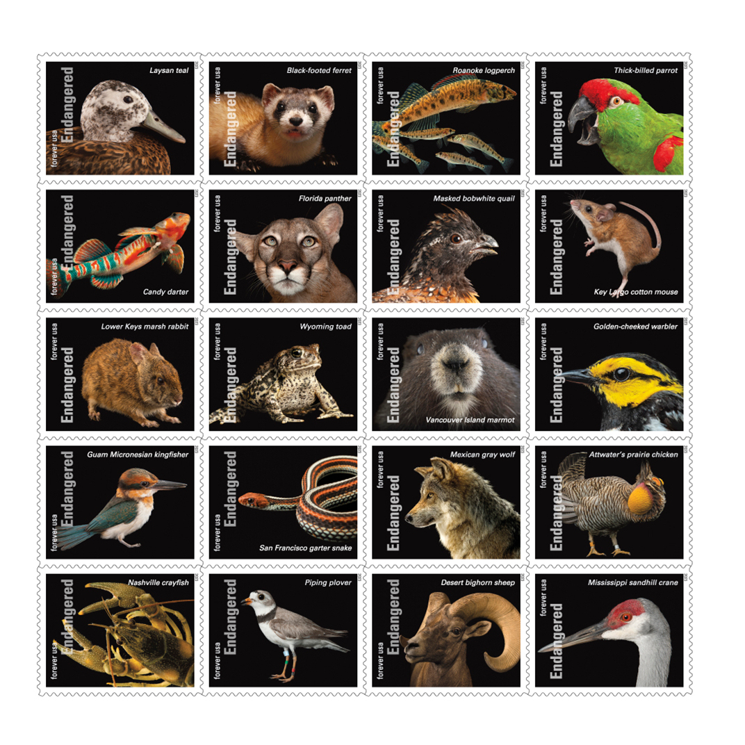 2023 Endangered Species First Class Postage Forever Stamps