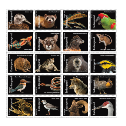 2023 Endangered Species First Class Postage Forever Stamps