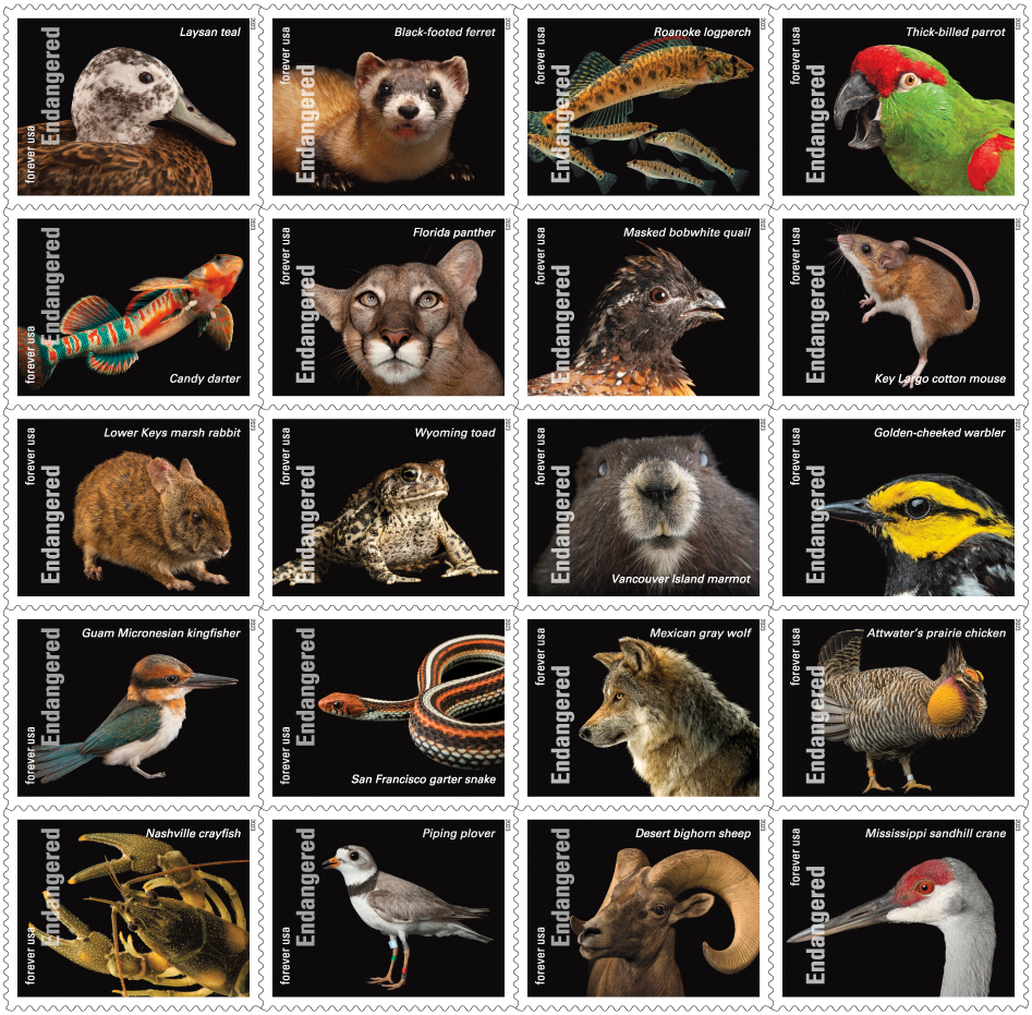 2023 Endangered Species First Class Postage Forever Stamps