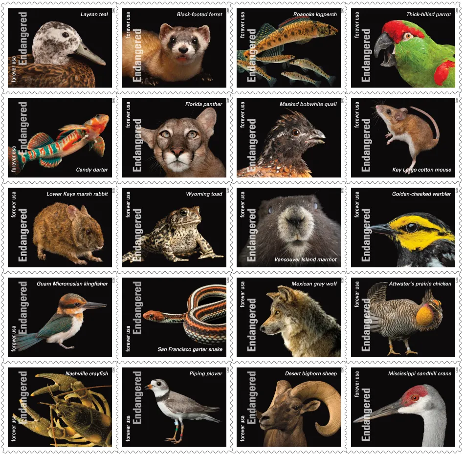 2023 Endangered Species First Class Postage Forever Stamps