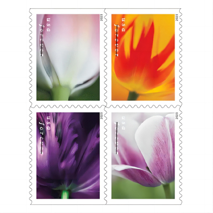 Tulip Blossoms Forever Stamp