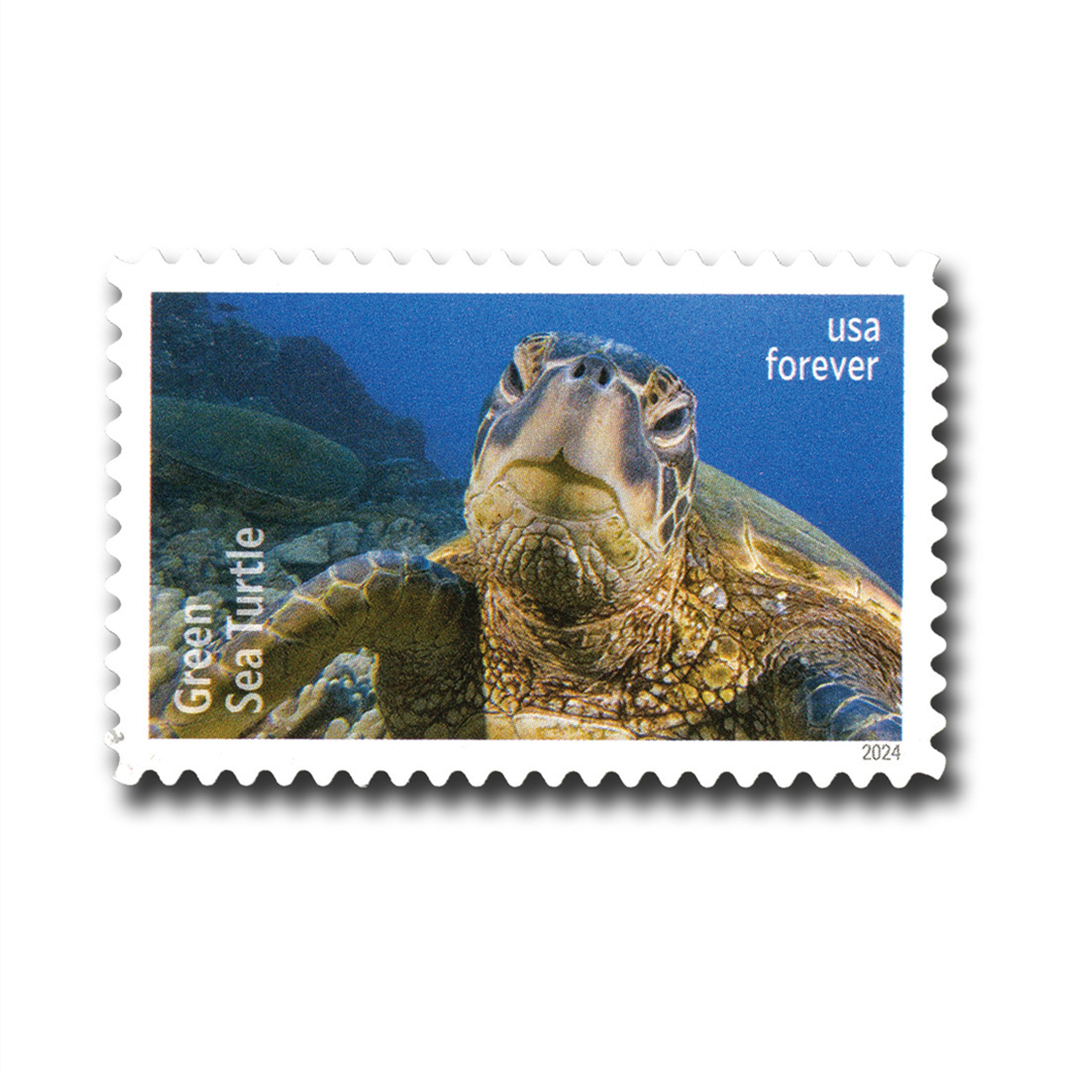 Protect Sea Turtles Stamps of 2024