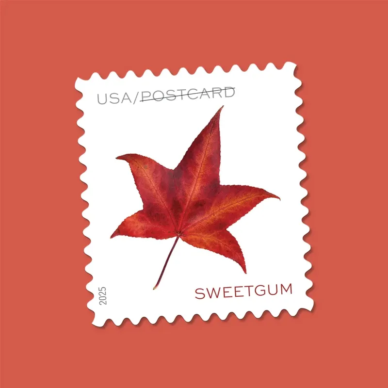 2025 Vibrant Leaves Postcard Stamps