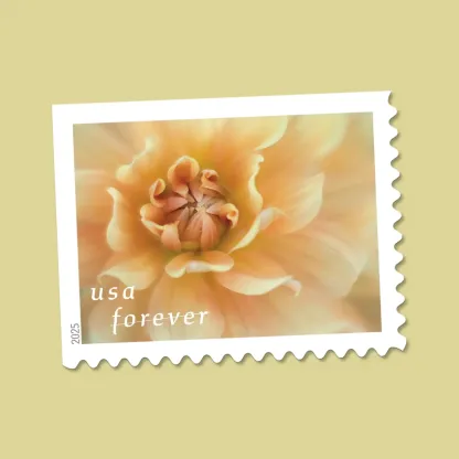 2025 First-Class Dahlias Forever Stamps 