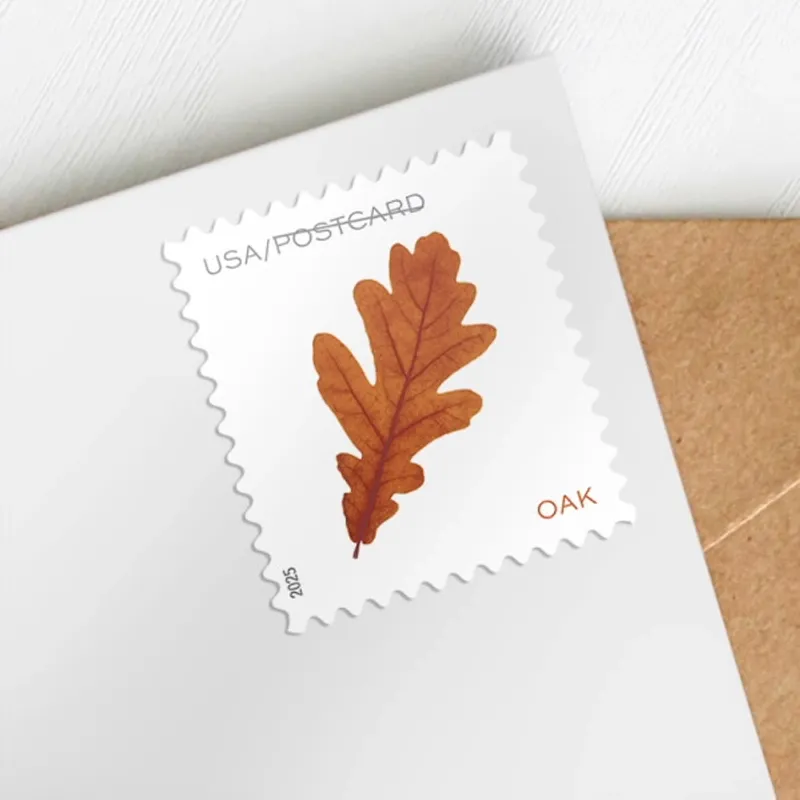 2025 Vibrant Leaves Postcard Stamps