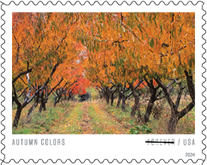 2024 Autumn Colors Forever Stamps