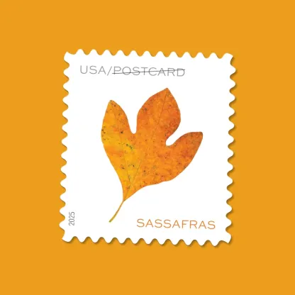2025 Vibrant Leaves Postcard Stamps