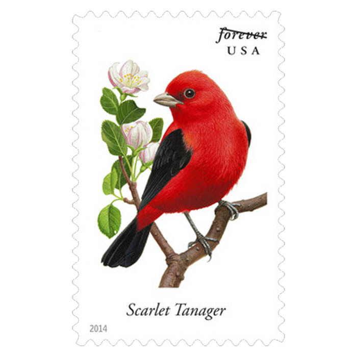 Songbirds Forever Stamps 2014