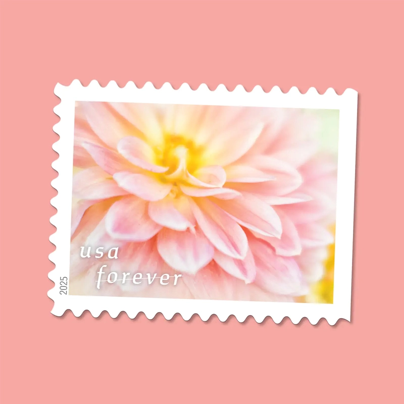 2025 First-Class Dahlias Forever Stamps 