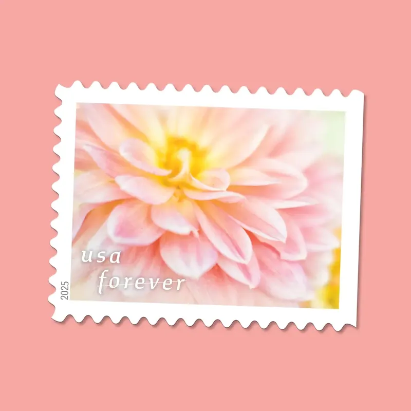 2025 First-Class Dahlias Forever Stamps 