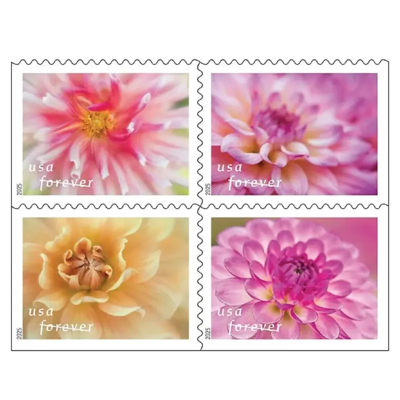 2025 First-Class Dahlias Forever Stamps 