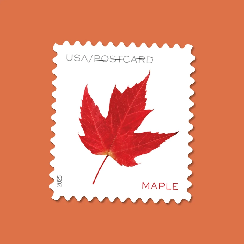 2025 Vibrant Leaves Postcard Stamps