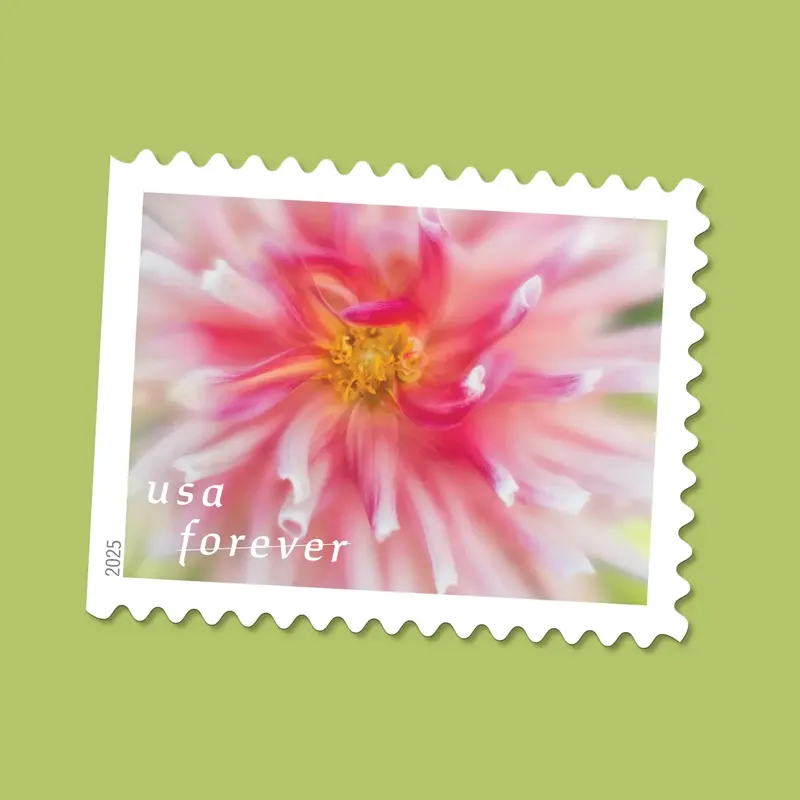 2025 First-Class Dahlias Forever Stamps 