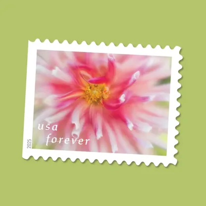 2025 First-Class Dahlias Forever Stamps 