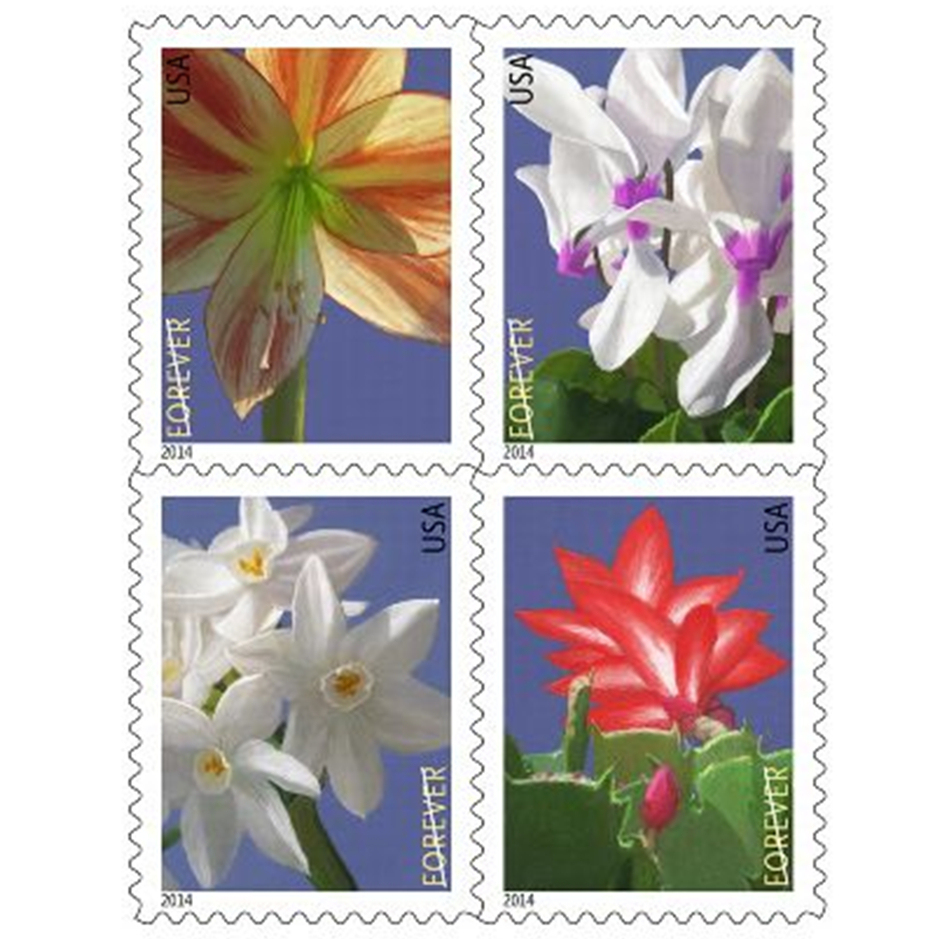 Winter Flowers - 2014 First-Class Forever Stamp