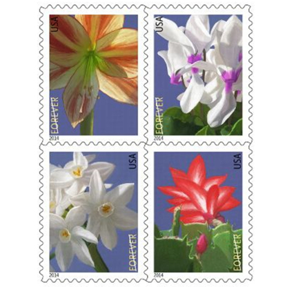 Winter Flowers - 2014 First-Class Forever Stamp
