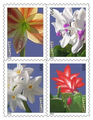 Winter Flowers - 2014 First-Class Forever Stamp