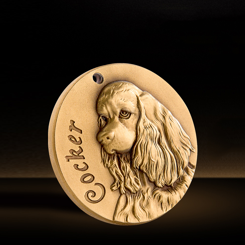 American Cocker Spaniel