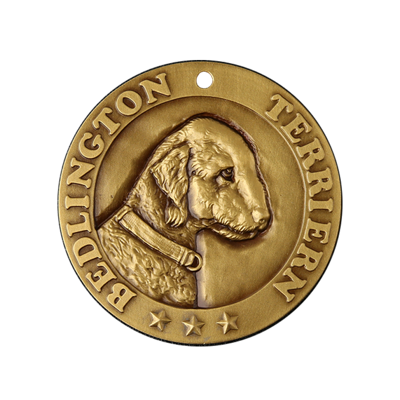 Bedlington Terrier 1