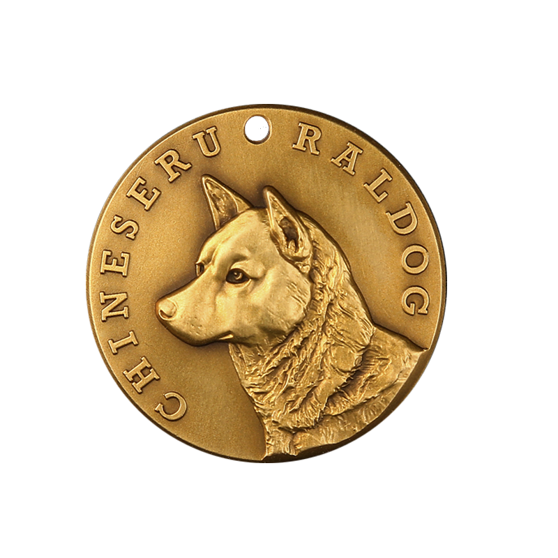 Chinese Village Dogs