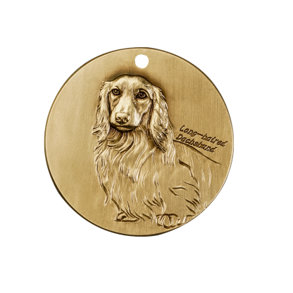 Longhaired Dachshund