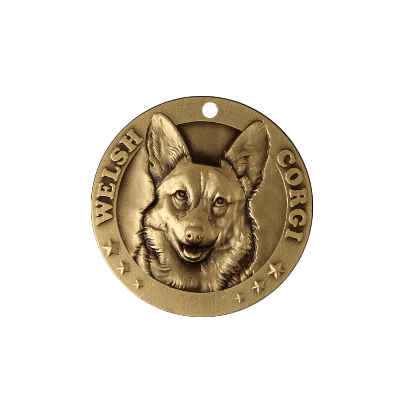 Pembroke Welsh Corgi 1