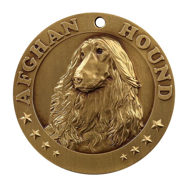 Afghan Hound
