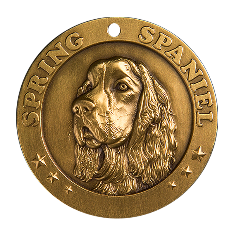 English Springer Spaniel