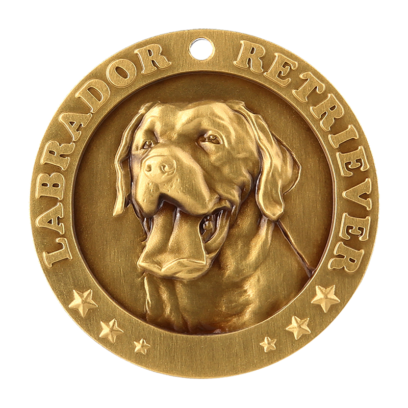 Labrador Retriever 1