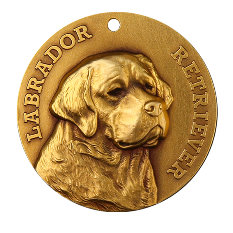 Labrador Retriever 2