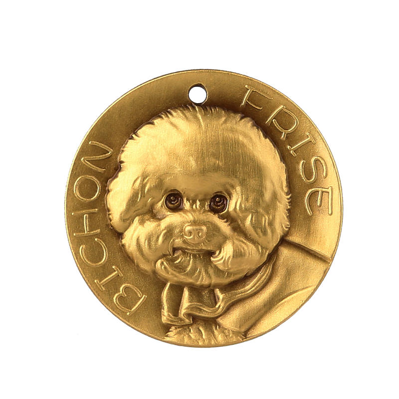 Bichon Frise 1 with custom pet tags dog