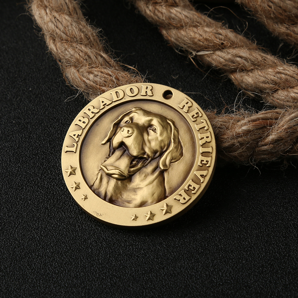 Labrador Retriever 1