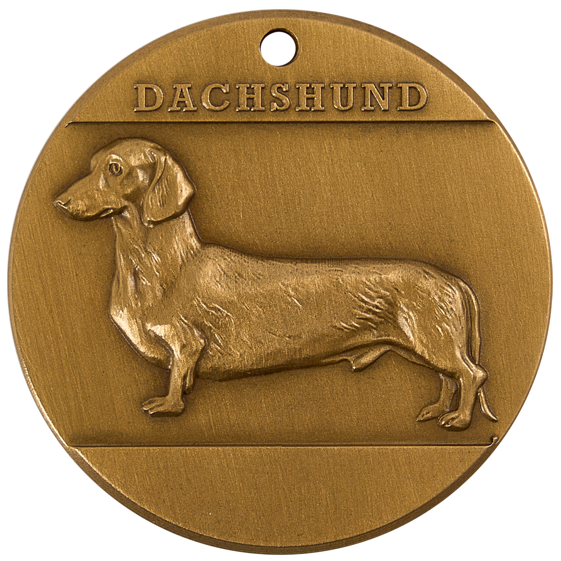 Dachshund