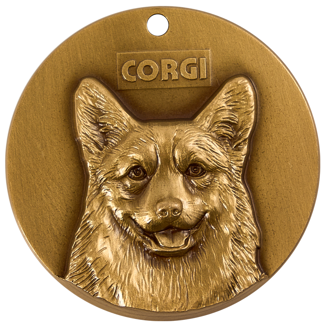 Pembroke Welsh Corgi 2