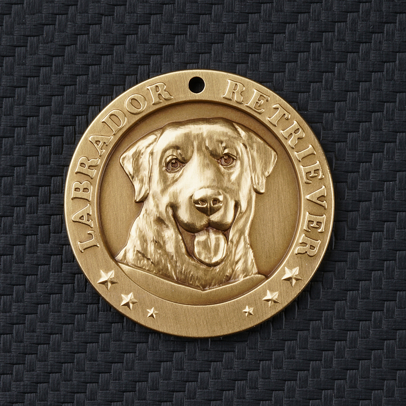 Labrador Retriever 3