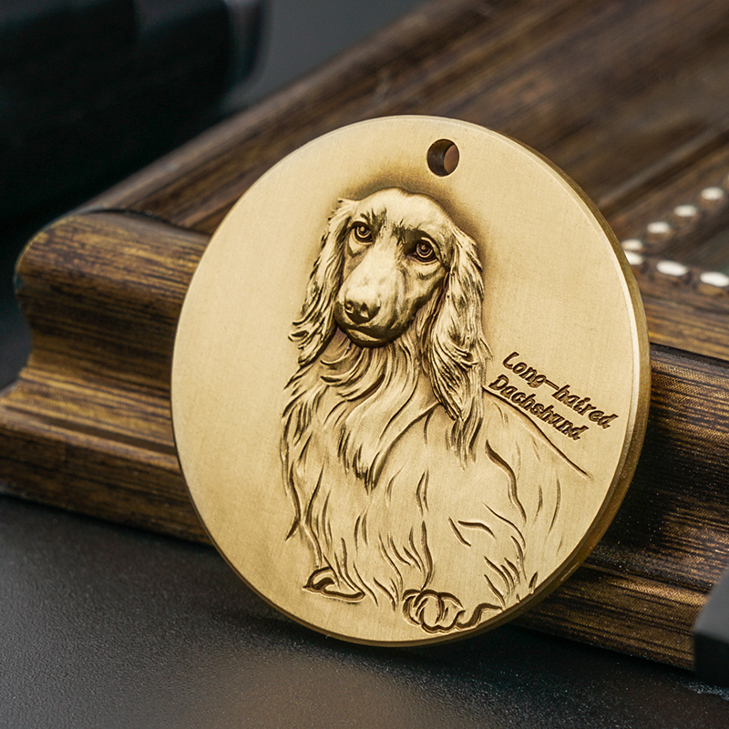 Longhaired Dachshund