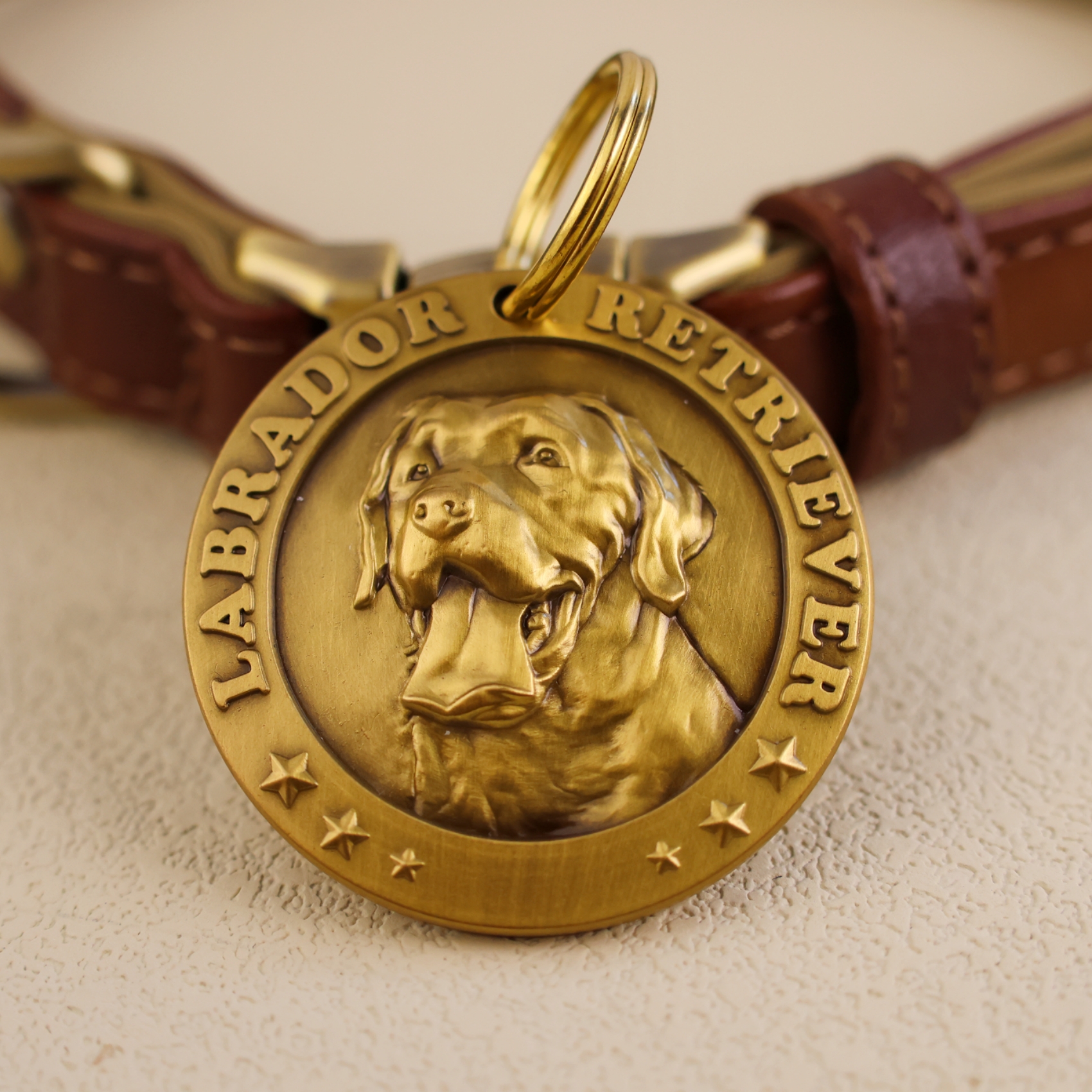 Labrador Retriever 1