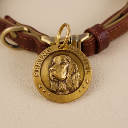 English Springer Spaniel